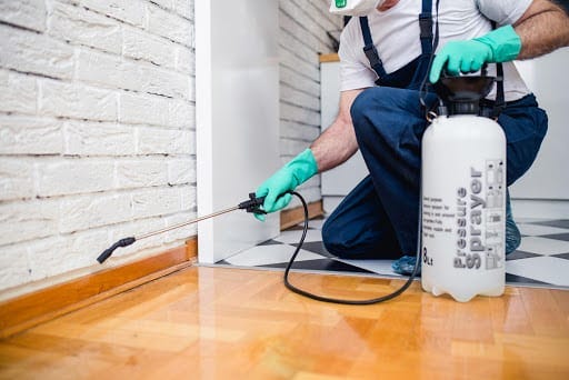 The Importance of Regular Pest Inspections for Kuala Lumpur Homes